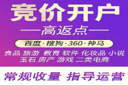 SEM竞价代运营：案例展示精准营销效果
